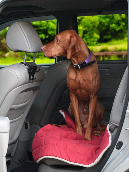 Traveling Pup's Cozy Roll-Up Mat: For When Your Dog's Adventure Is So Epic, It Can't Get Muddy!